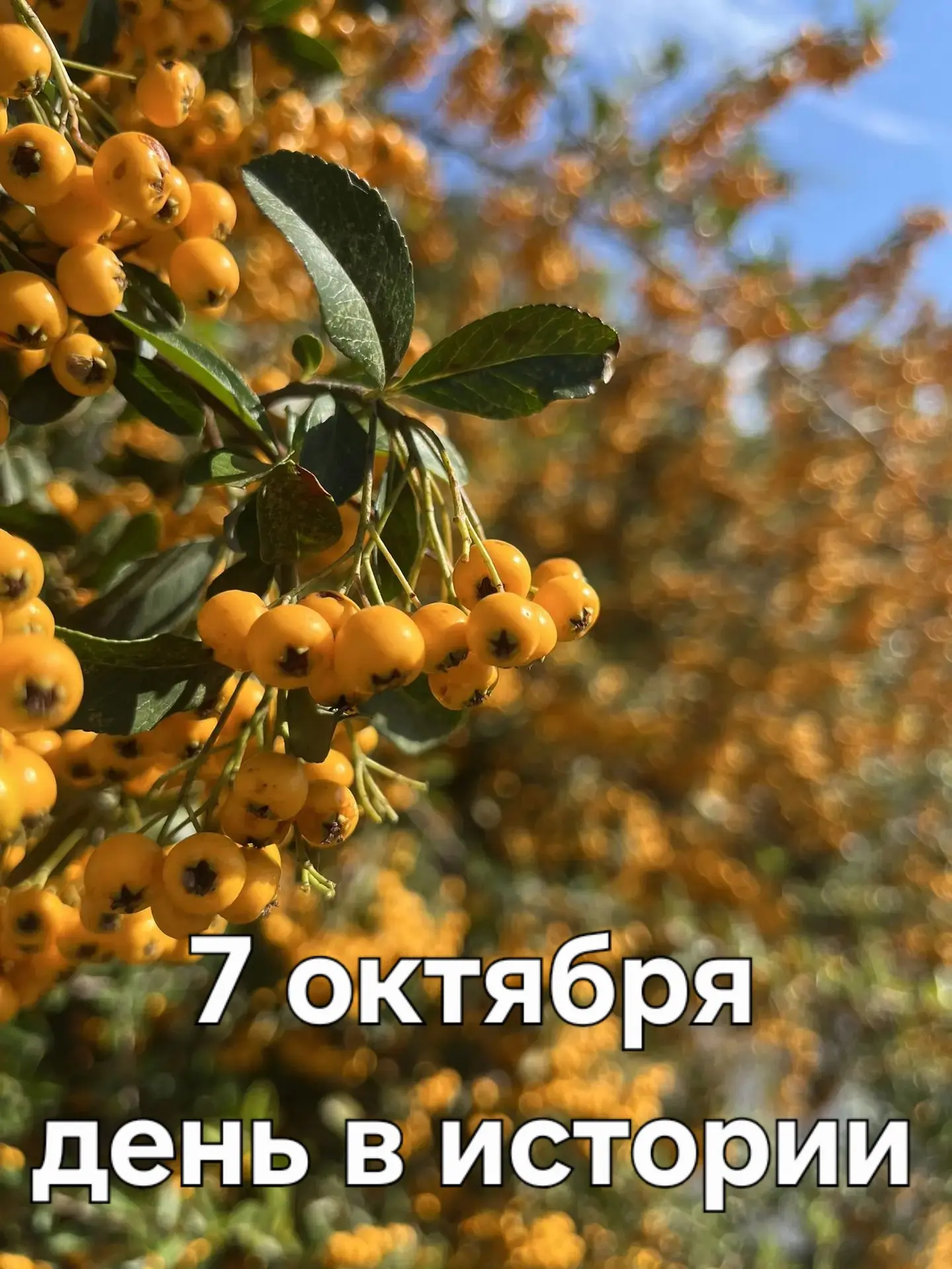 А знаете ли вы, что ❓