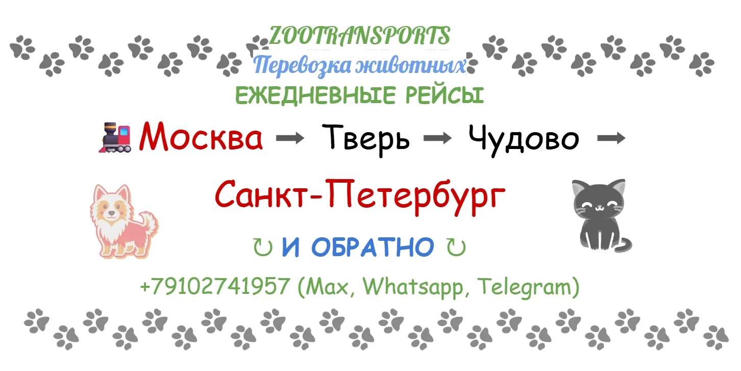 Контакты: +79102741957 (Max, Whatsapp, Telegram).