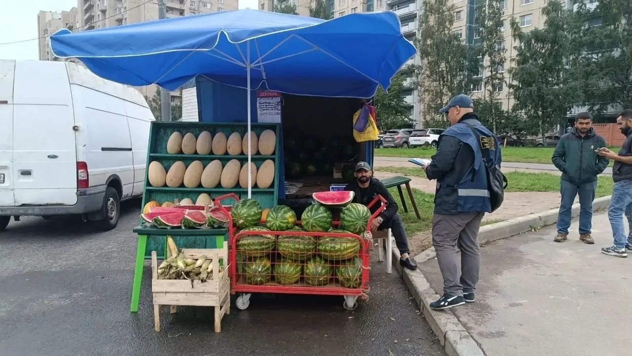 В Красносельском районе пресекли незаконную торговлю бахчевыми и изъяли автомобиль
