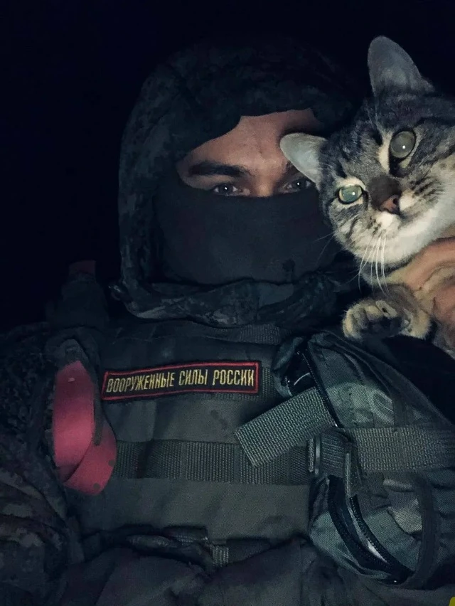 Вот, нашёлся боевой товарищ — котейка прижился.