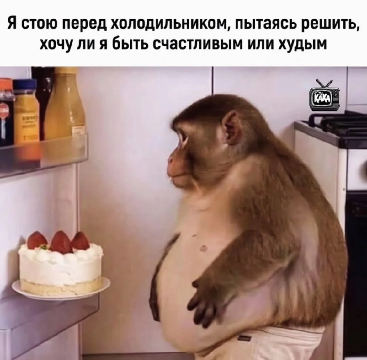 Дурилка картонная