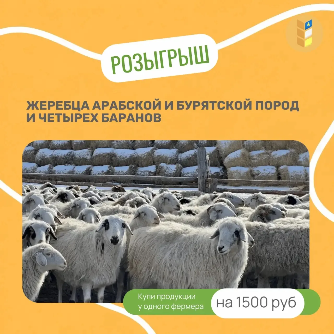 🎁 Покупаете фермерские продукты - участвуете в розыгрыше!