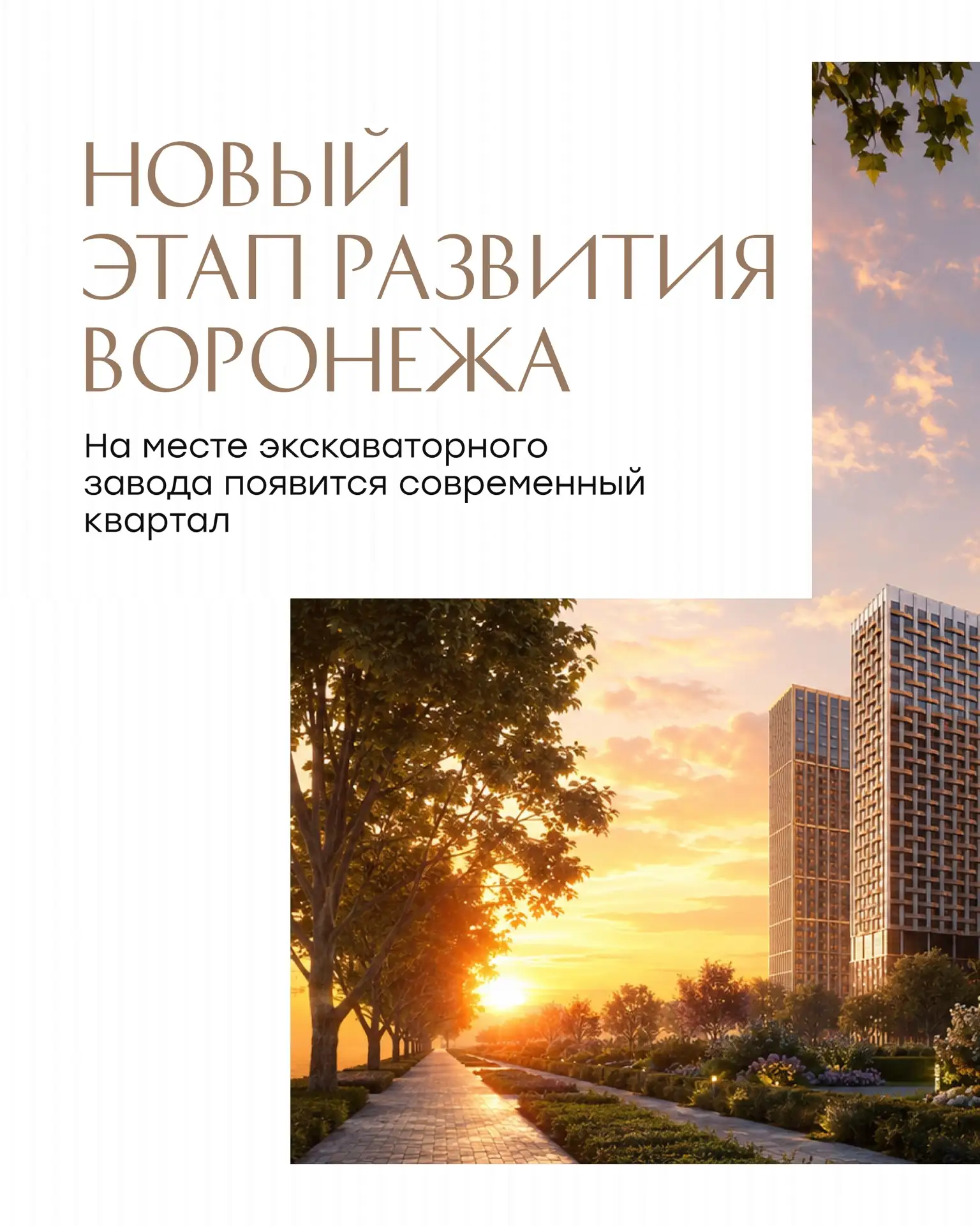 Первые небоскрёбы города — Воронеж готовится расти вверх 🏙️