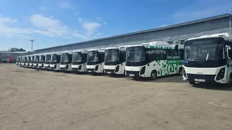 В Благовещенск поступили первые автобусы на газомоторном топливе 

Автобусный парк Благовещенска нач