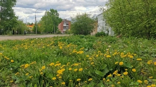 Лето в Кушве