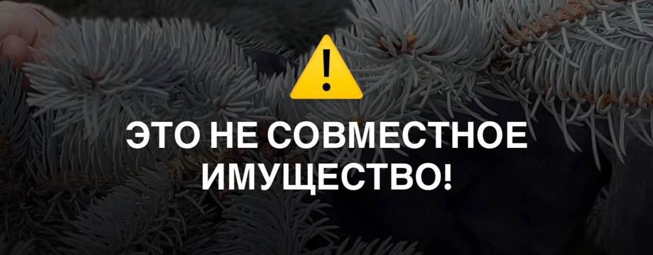 И снова история про совместное имущество и наследство. 

Мужчина до брака приобрел торговый павильон
