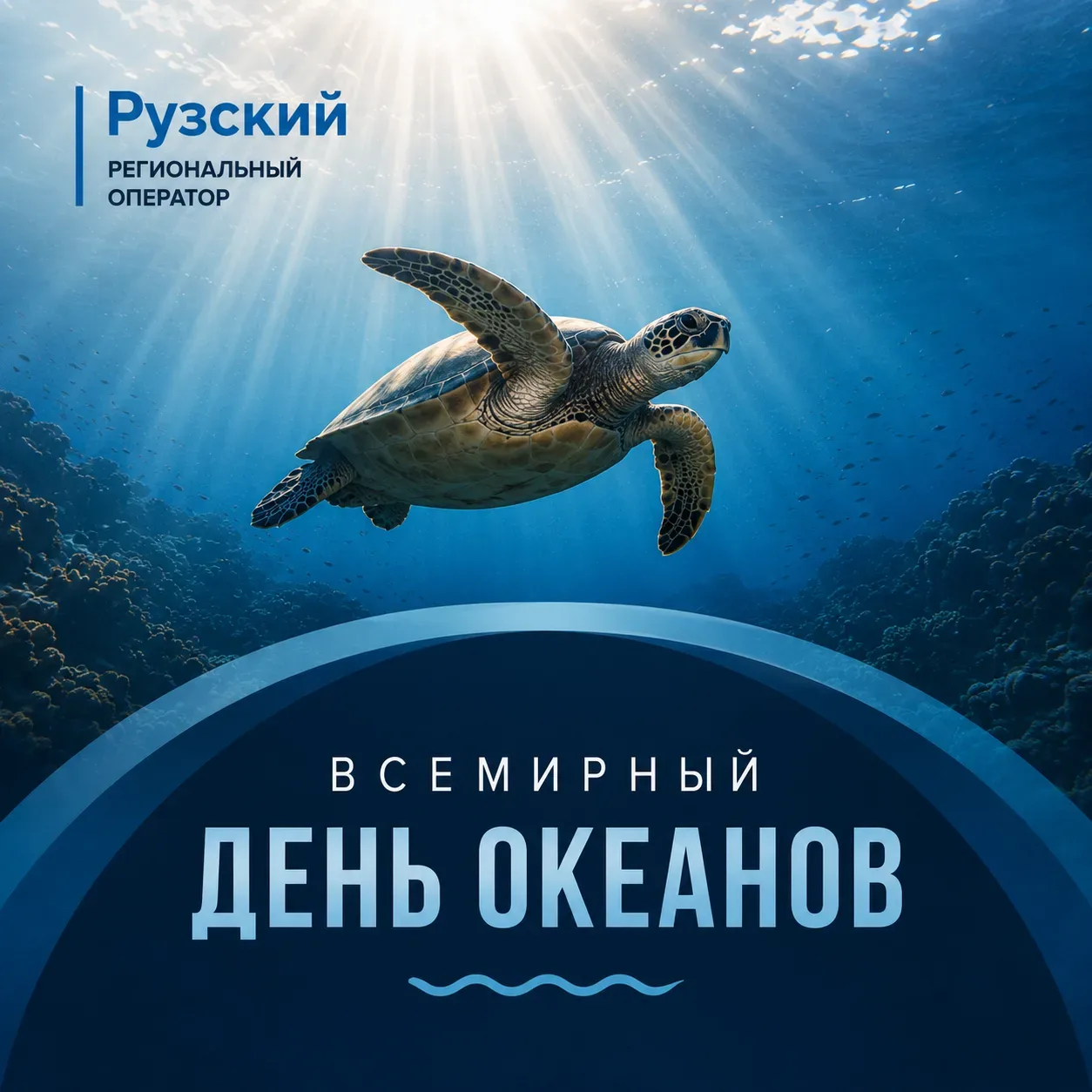 🌊 8 июня — Всемирный день океанов

Пластиковые отходы — одна из главных угроз для водоёмов и морски