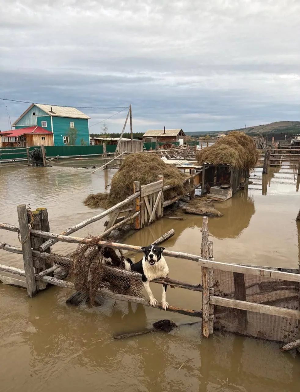 **Вода подступила к Верхоянску, Боронук ушел под воду полностью**

Сегодня, 30 июля, дождевой паводо