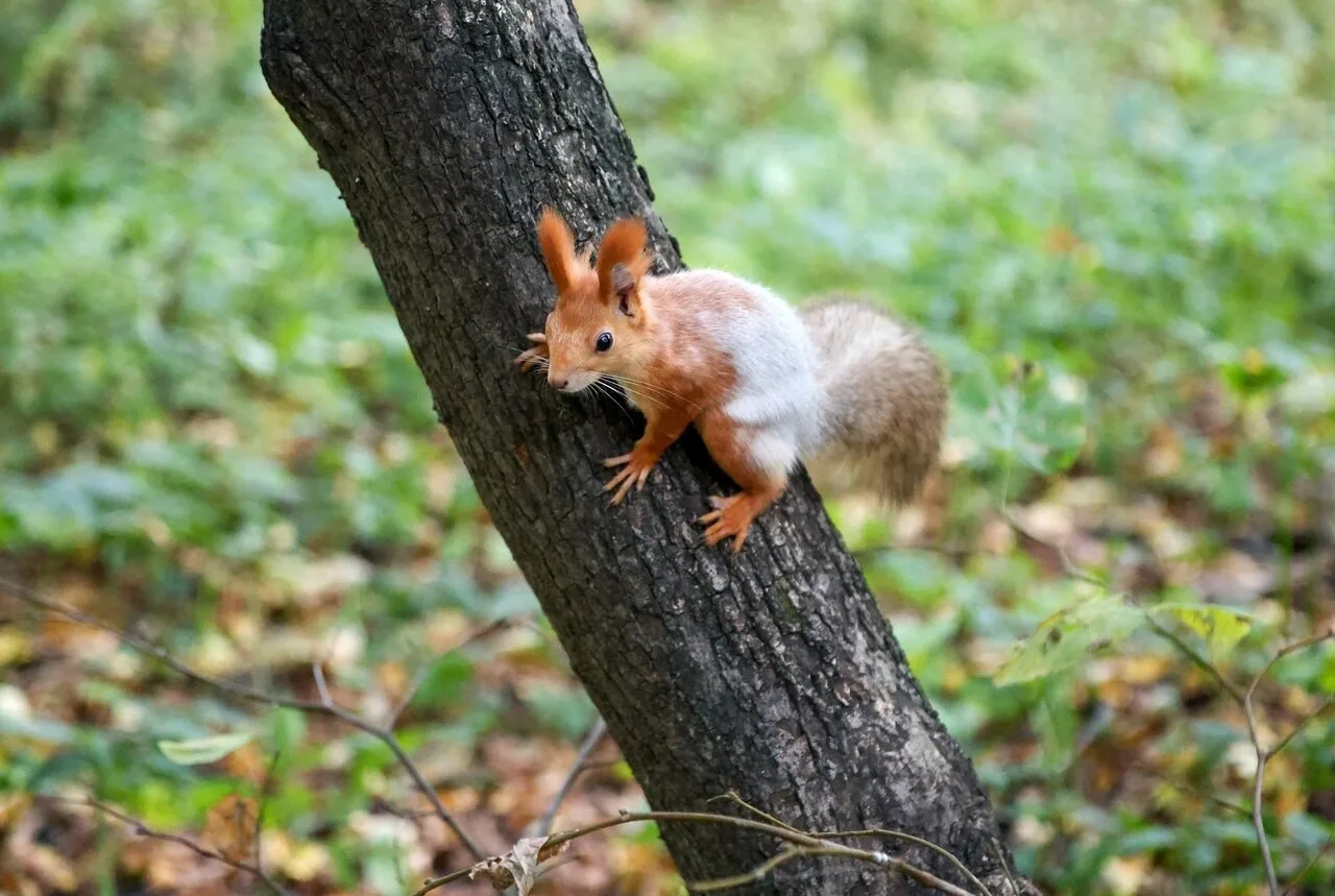📸Алексей Самохин и Татьяна Самохина