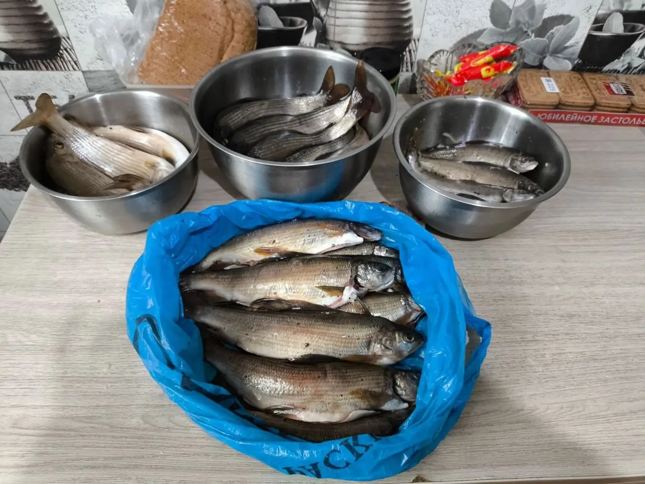 Река Ус. Работала в основном нимфа Черноспинка.