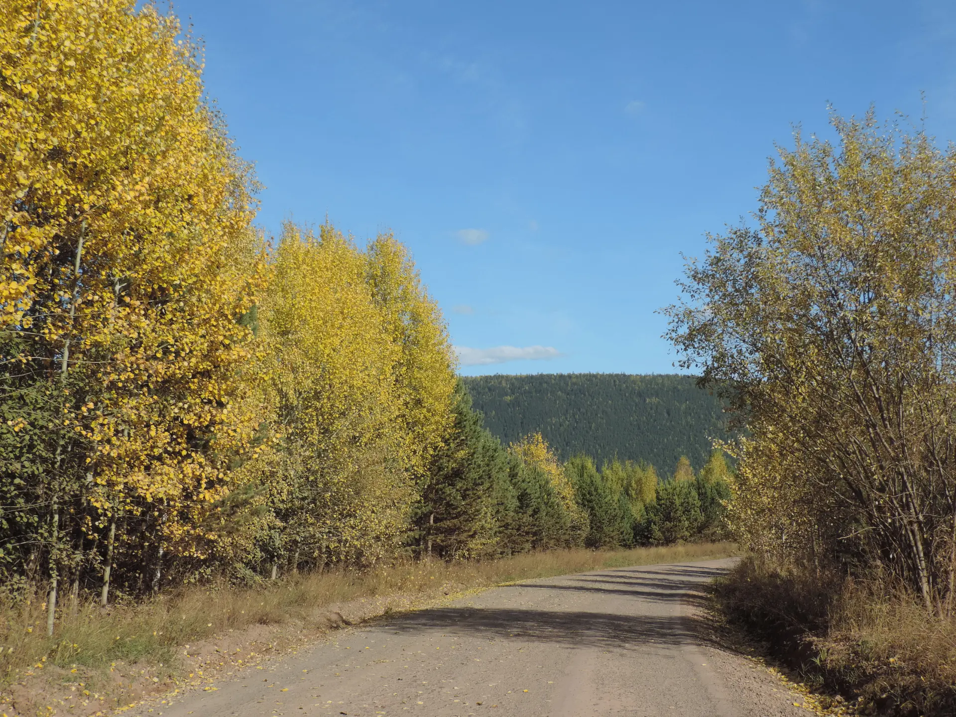 Ну вот и осень 🍂