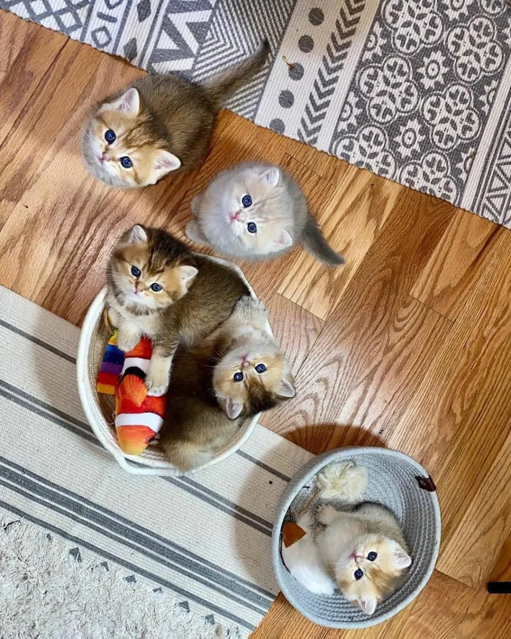 Тут так много маленькостей, я даже не знаю, как их все объяснить🥰