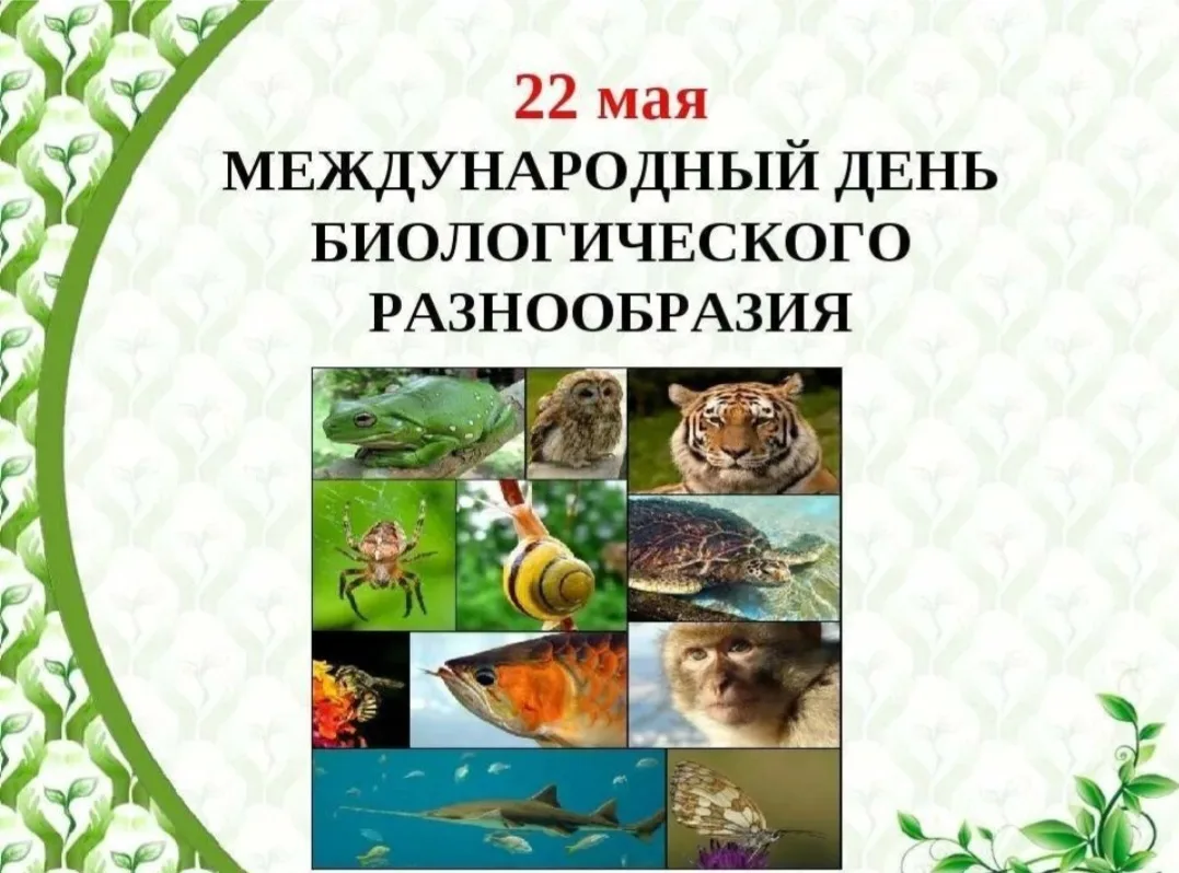 Давайте, дошколята,