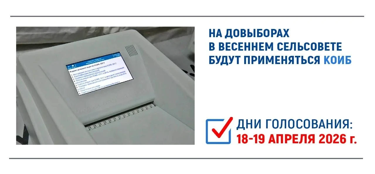⚡На довыборах в Весеннем сельсовете будут применяться КОИБ  На муниципальных выборах в Оренбургском 