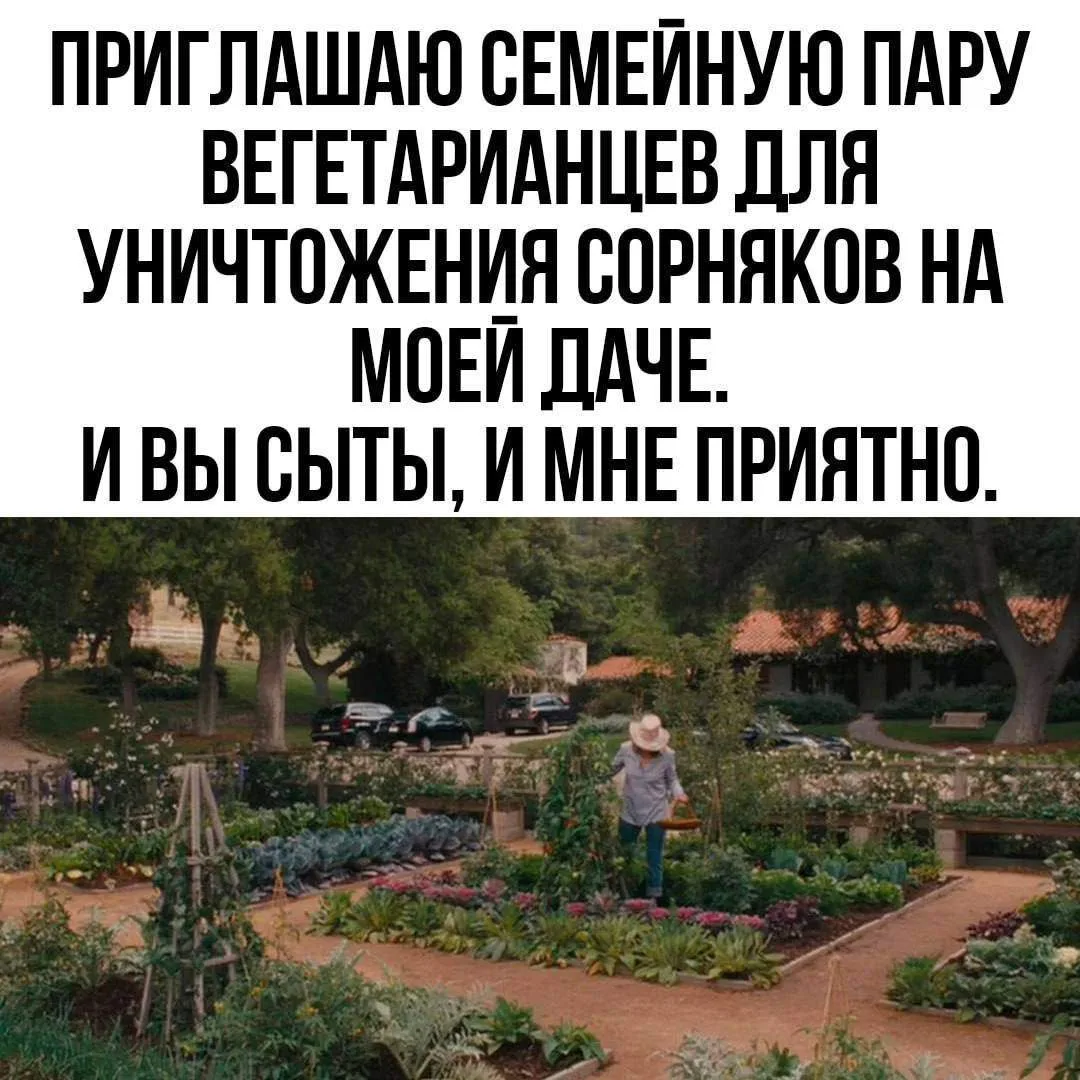 ЕВРЕЙСКИЙ ДВОРИК 😂