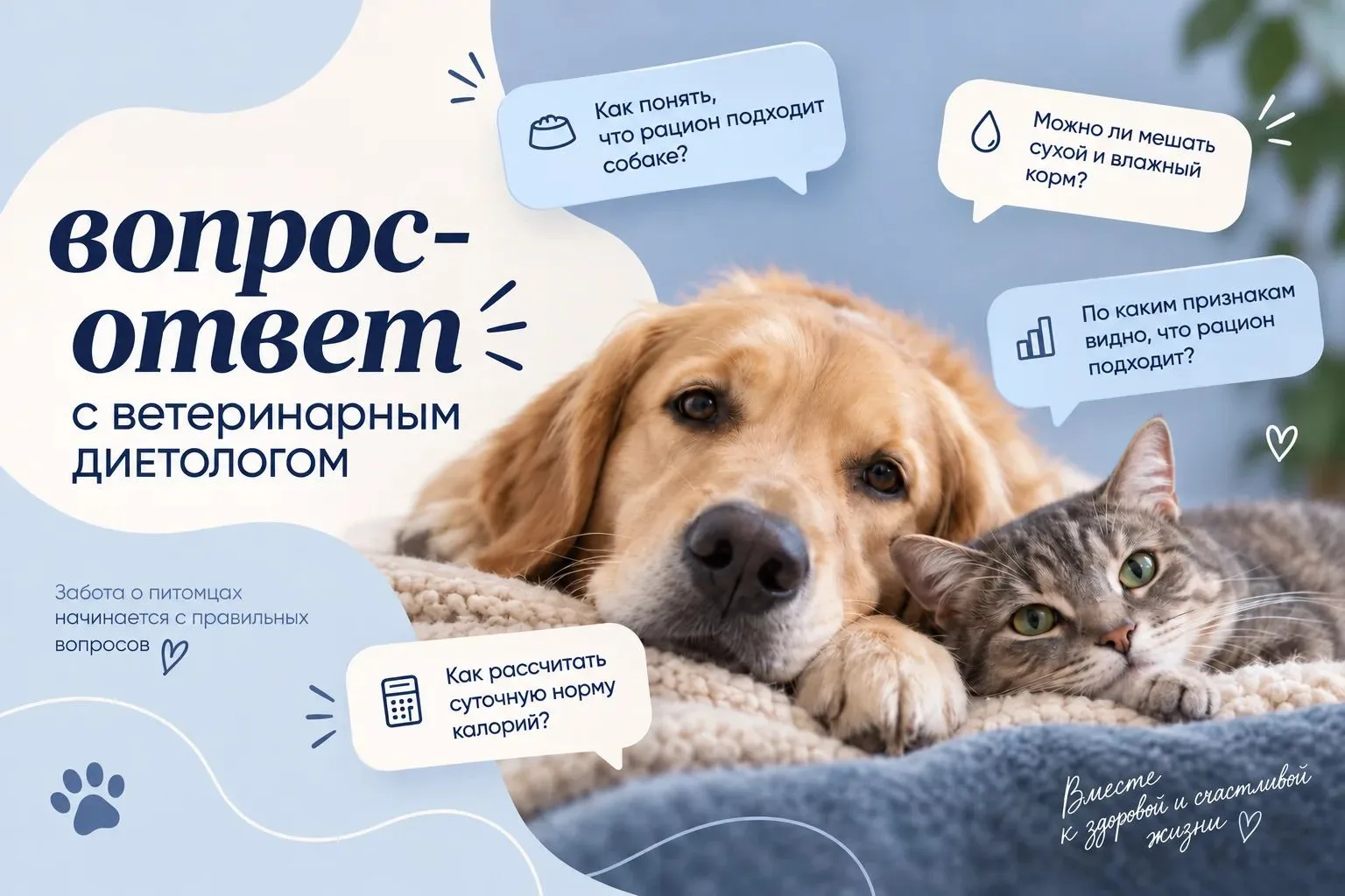 Есть вопросы о питании питомца? Задайте их ветеринарному диетологу