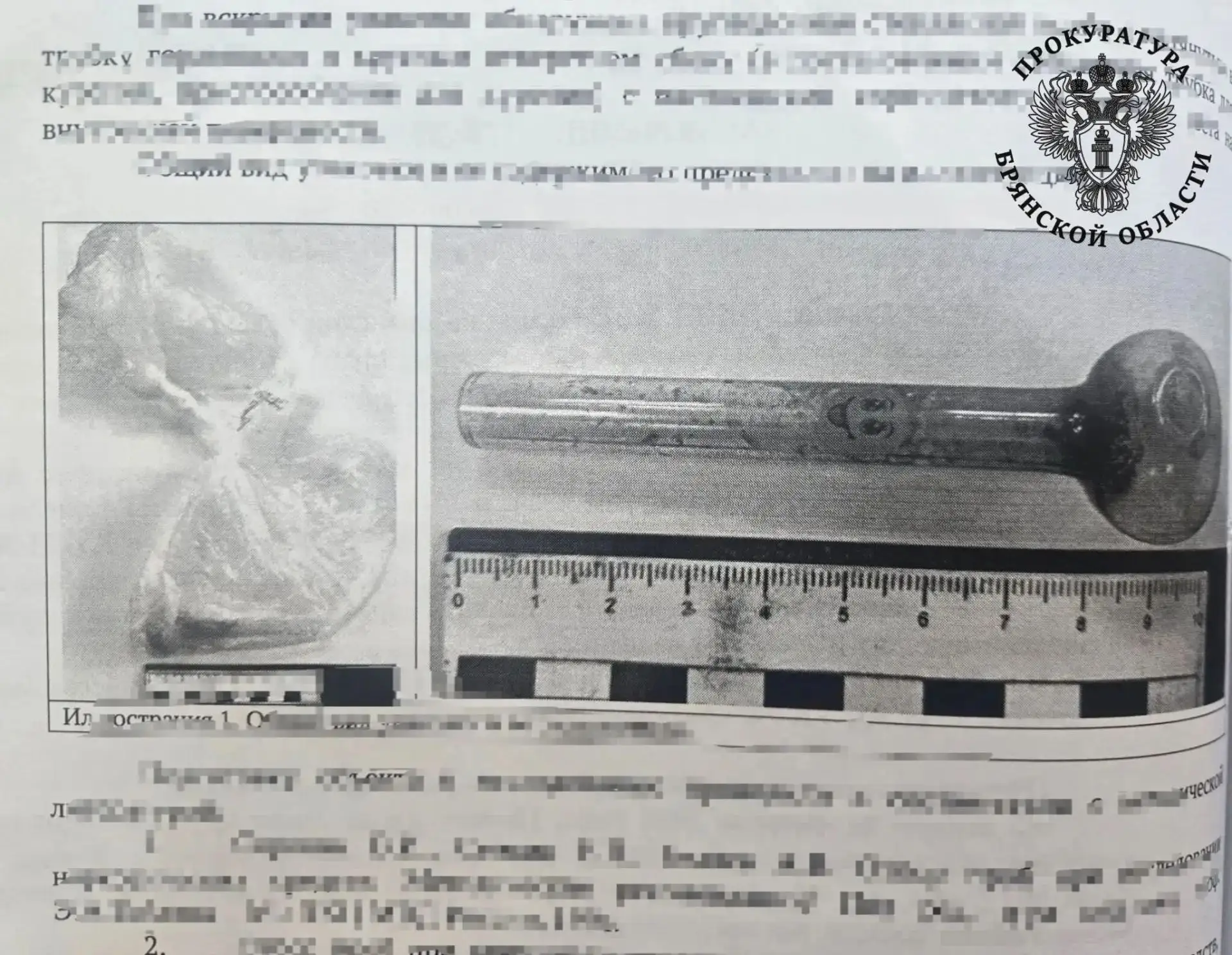 Житель Брянска предстанет перед судом за организацию наркопритона