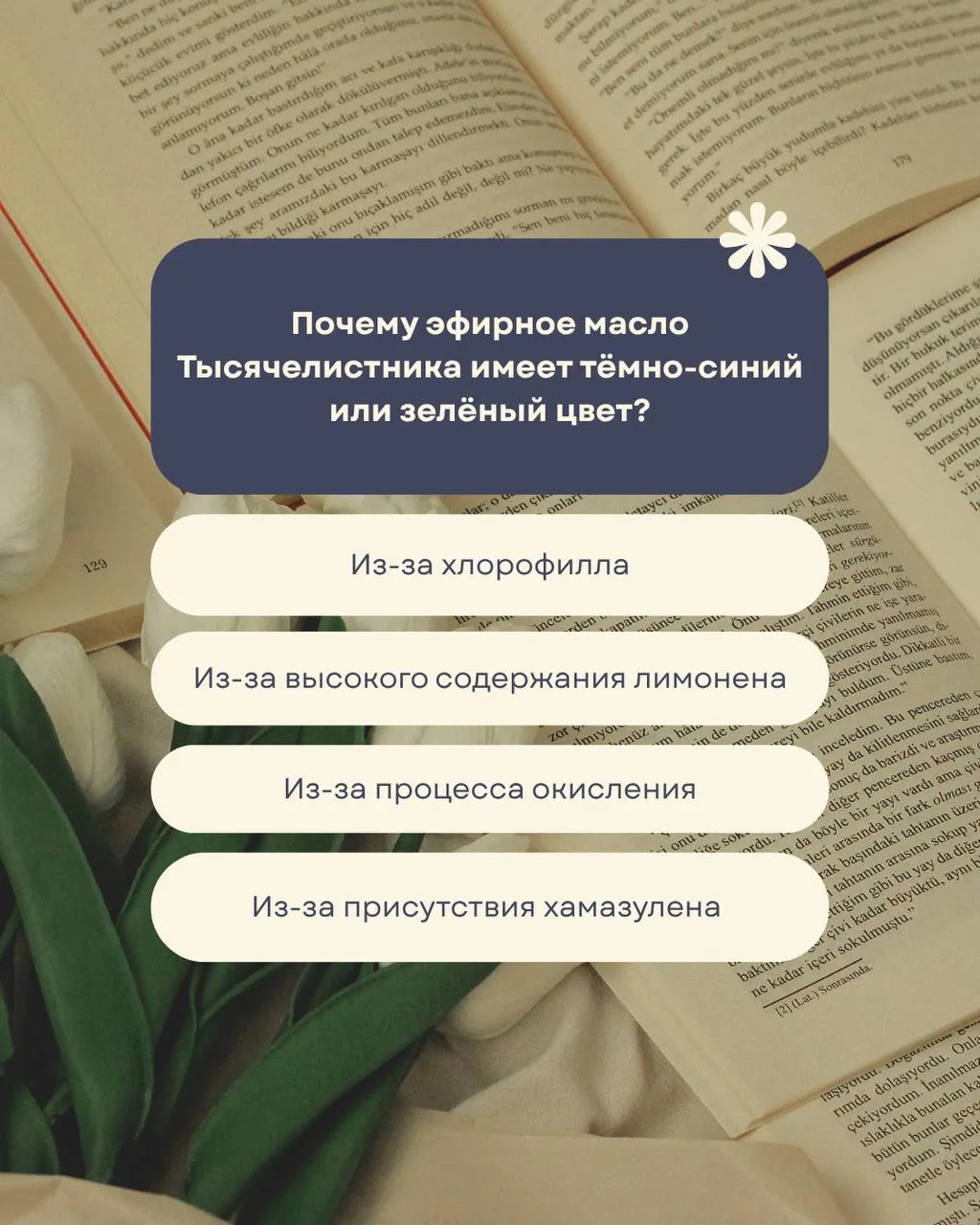 Сегодня поговорим с вами про Тысячелистник и его оттенки.