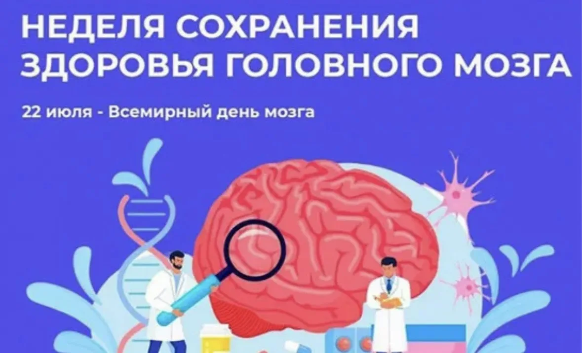 Доктор Кошелева рассказала о мерах, которые помогают поддерживать здоровье головного мозга и сохраня