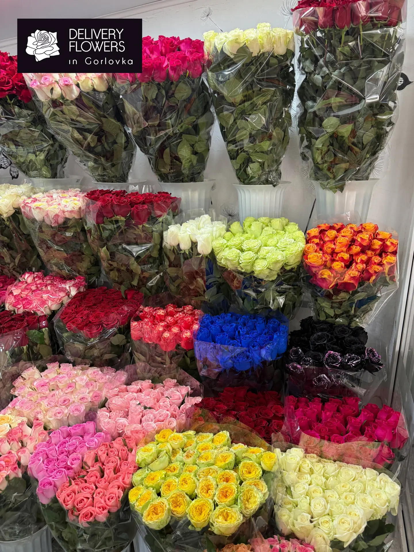 🌹✨ Большая поставка роз