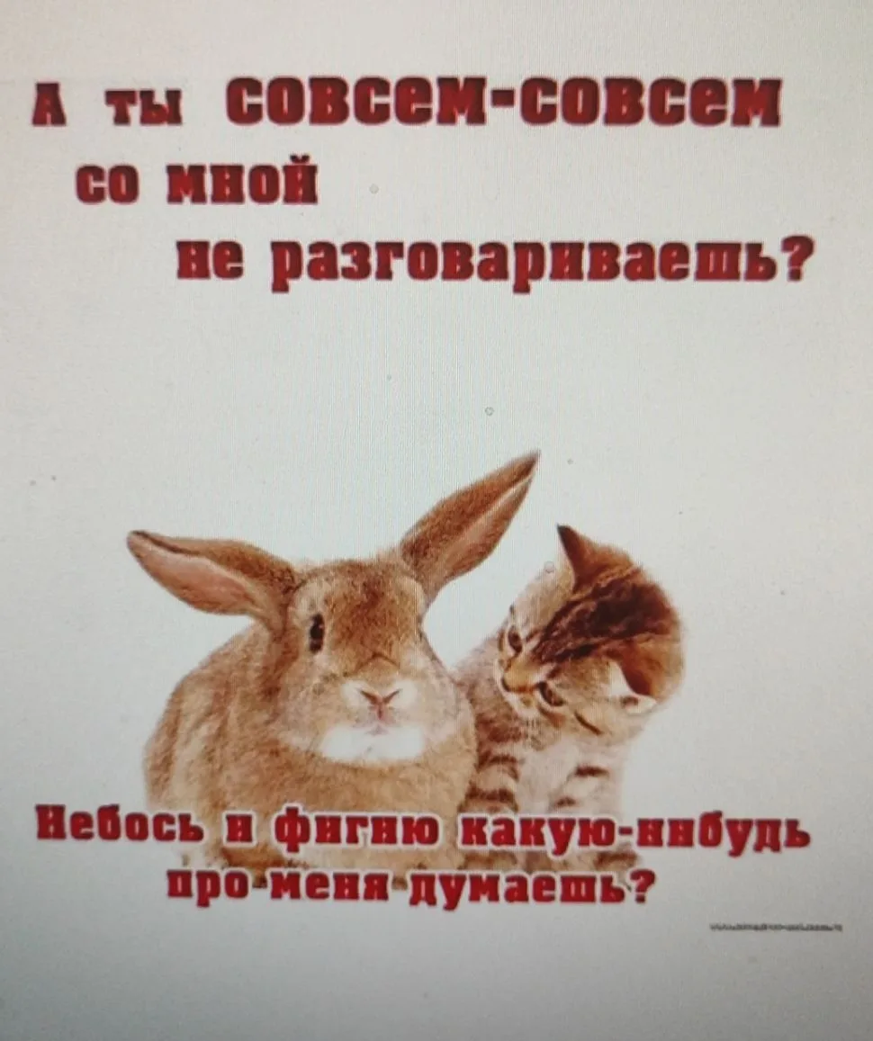 Когда... Саша завис на фразе: "нужно щебенки и песка ещё заказать"🙃😂🙈