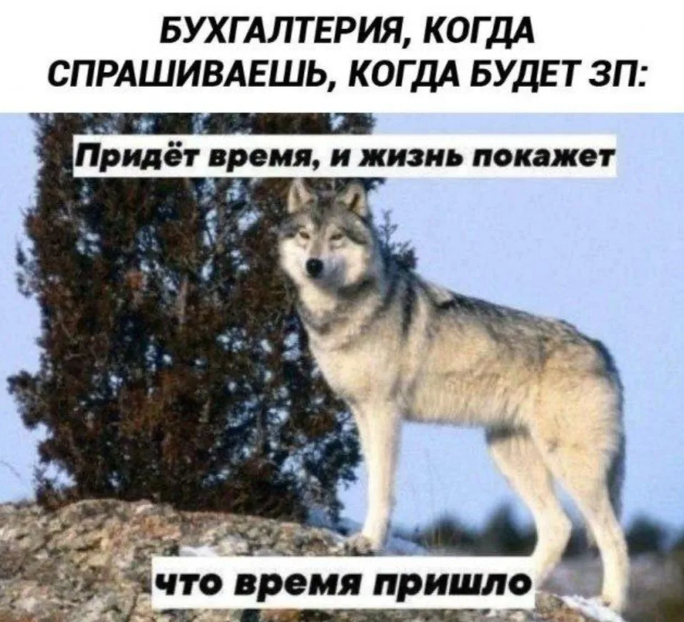 😎