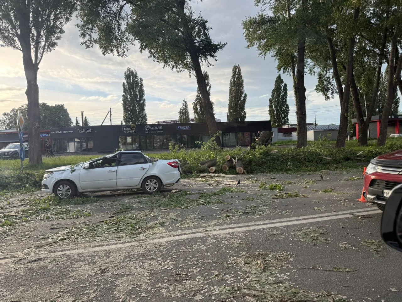 ⚡️ На улице Московской дерево рухнуло на автомобили: крышу «Лады» буквально смяло, пострадал мужчина