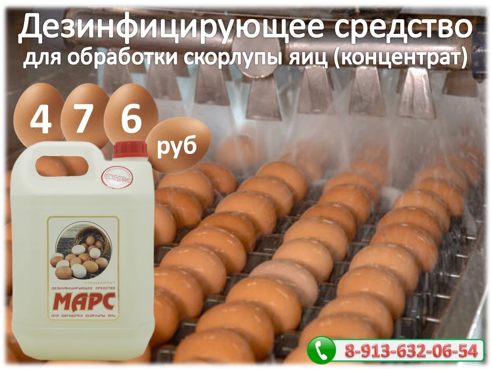 Держите яйца в чистоте!