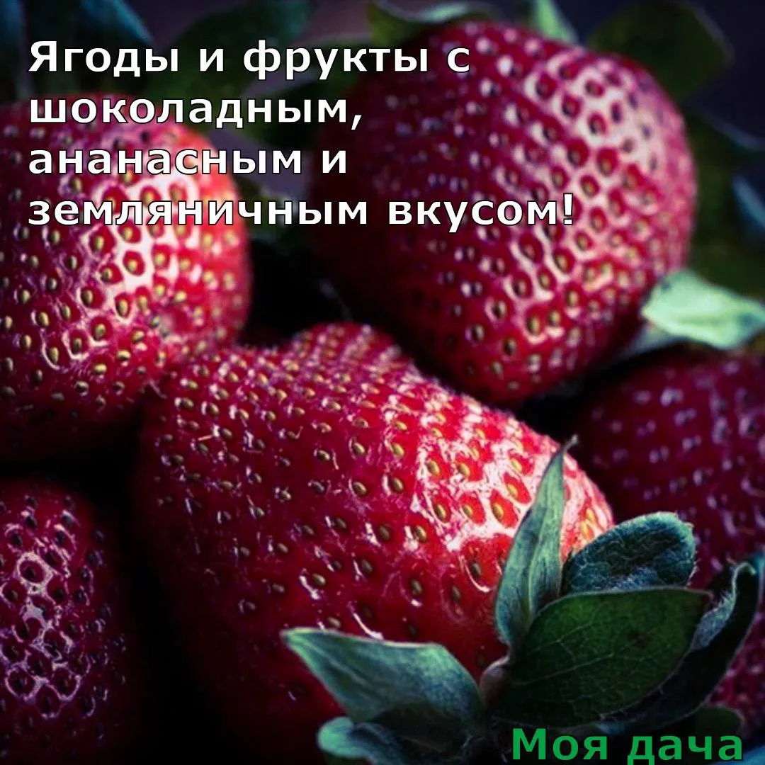 Ягоды и фрукты с шоколадным, ананасным и земляничным вкусом 🍓