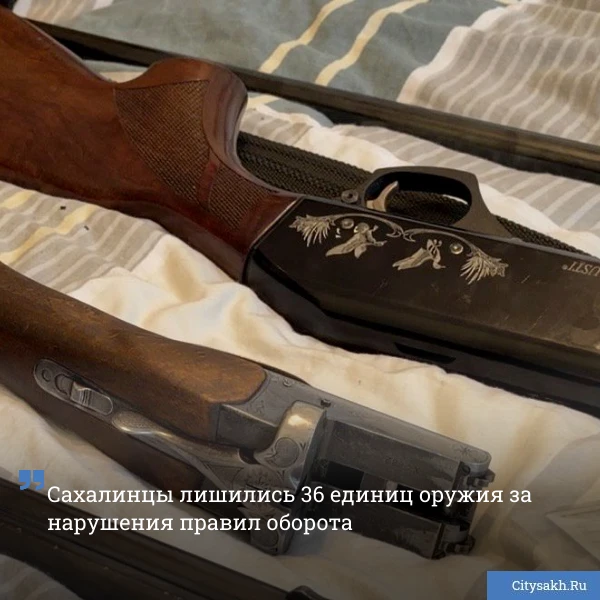 👮‍♂️ Об итогах рейда по местам хранения оружия отчитались сахалинские росгварцейцы. Инспекции побыва