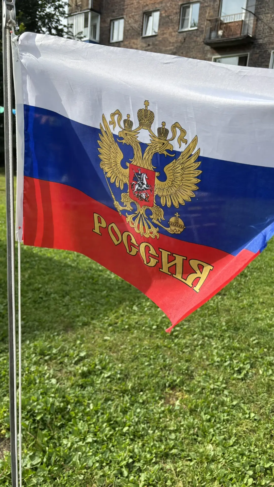 День Государственного флага России в детском саду! 🇷🇺