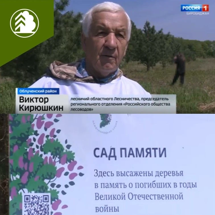 🖍В продолжении акции «Сад памяти» 2026 год💚🌲