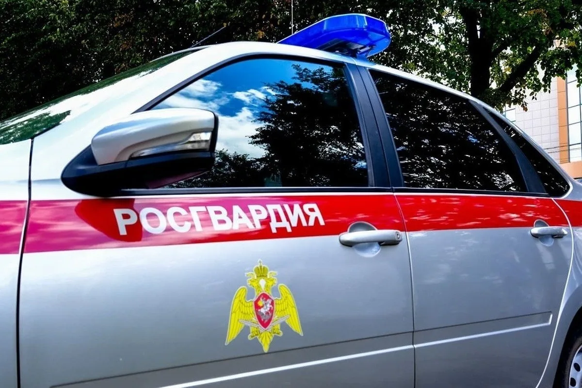 Росгвардейцы задержали 30 нарушителей в Марий Эл 🚨