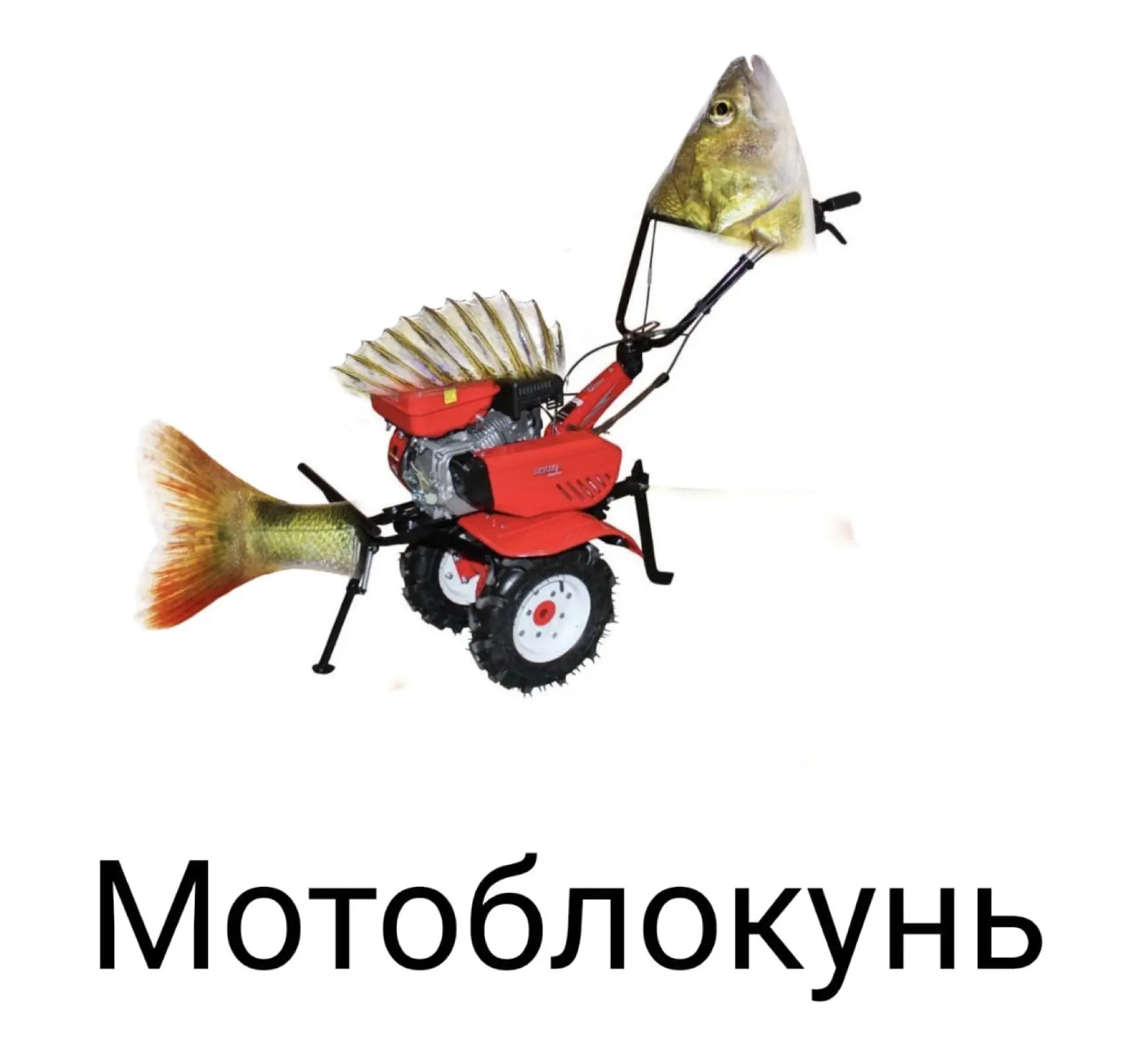 Подборка топ 10 окуней (часть 3)