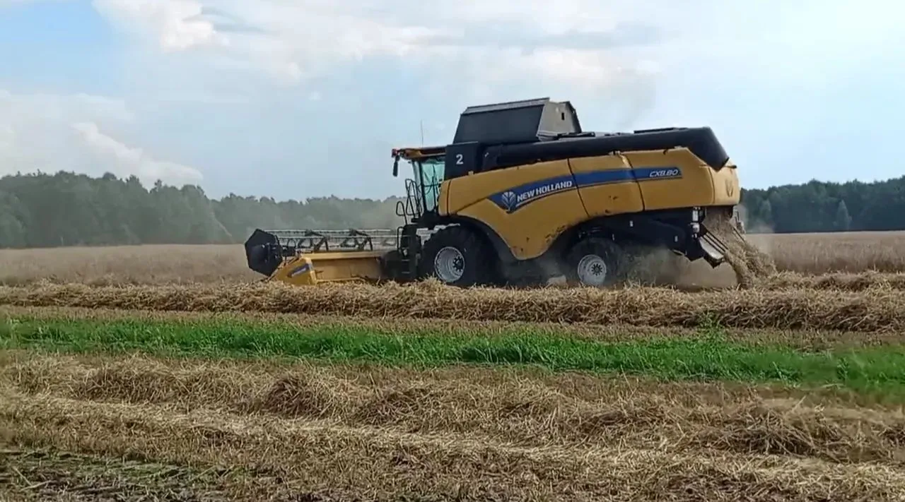 🌾 В Наровчатском районе продолжается уборка озимых культур. Об этом в своих социальных...