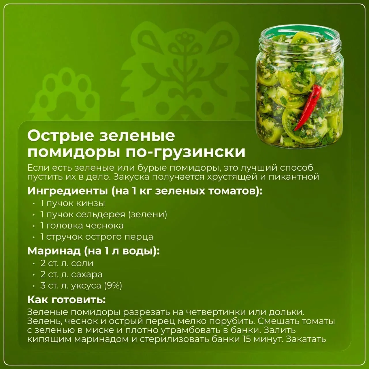 🍅 Некуда девать помидоры? У нас есть рецепты!