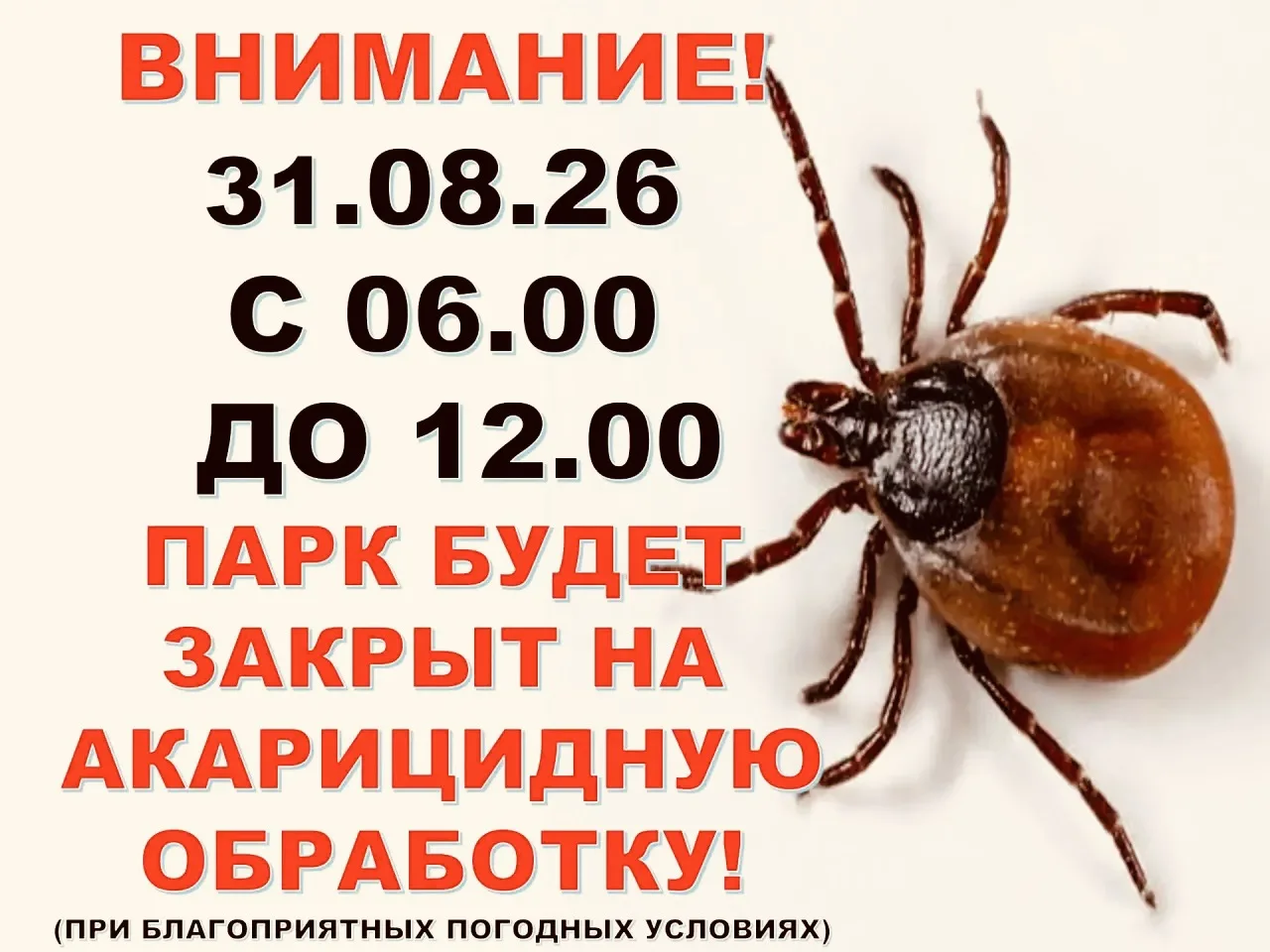 31 августа с 06:00 до 12:00 Парк Прибрежный будет закрыт — проводим плановую акарицидну...