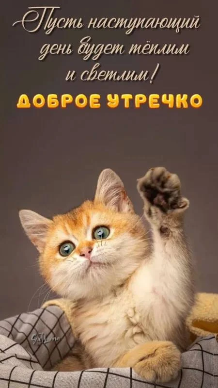 Доброе утро! Пусть Ваш день сложится наилучшим образом!