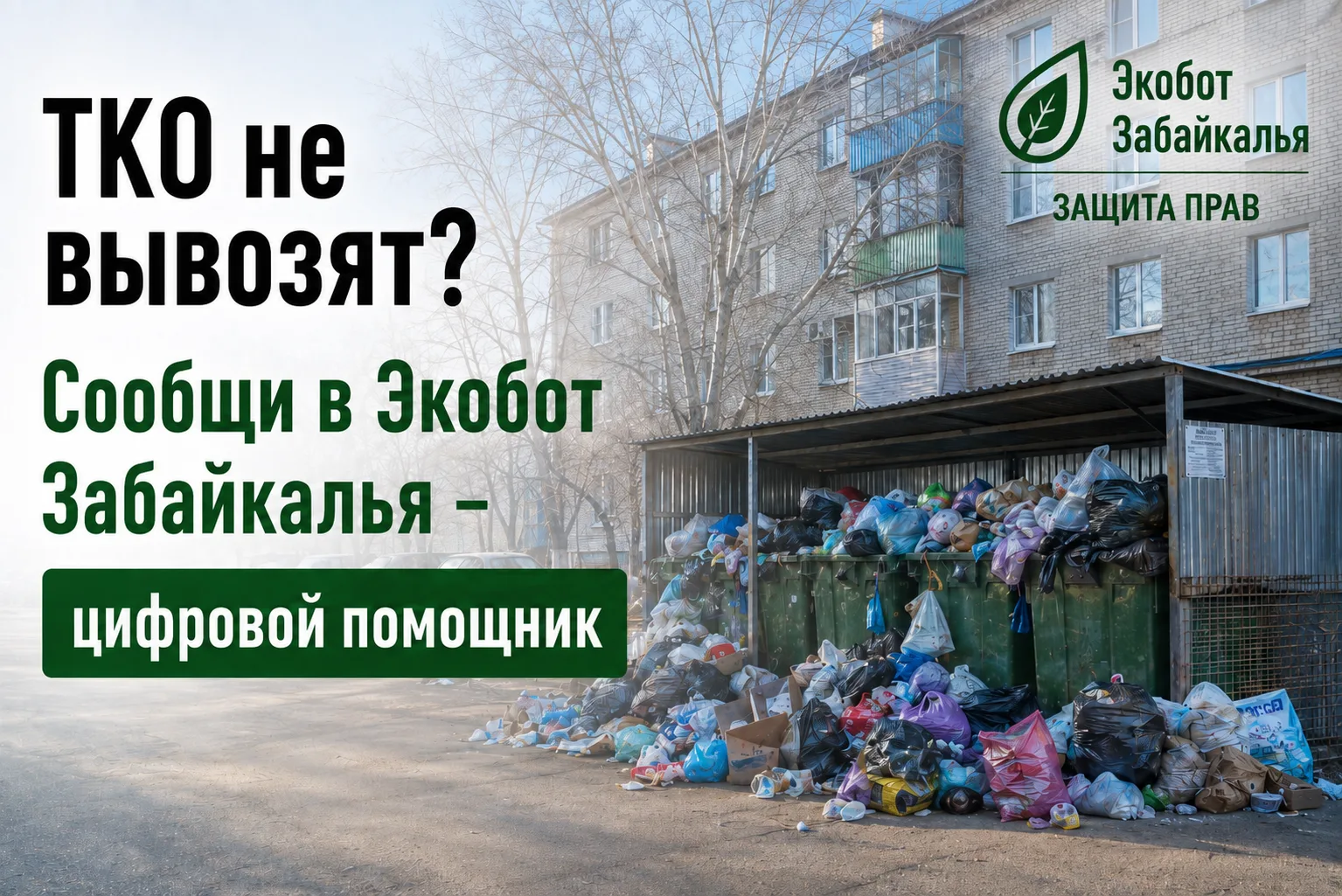 #ЭкоДело
