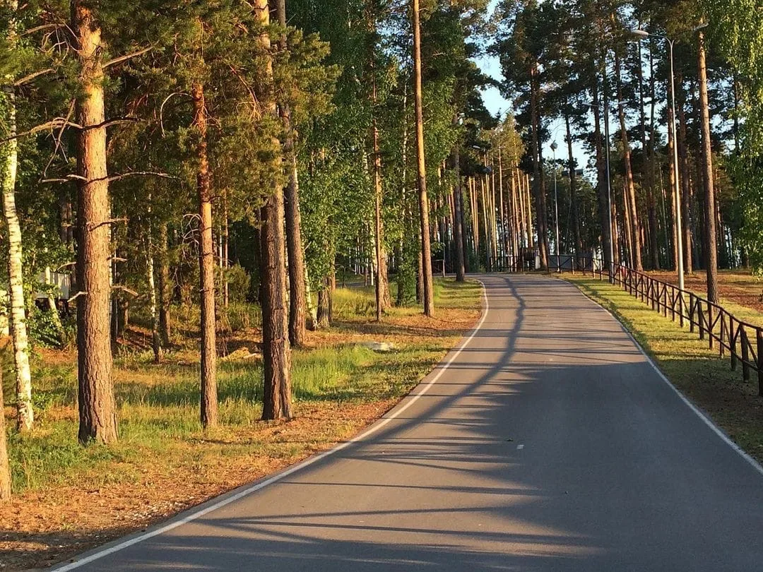 Побег в гармонию: идеальный день в «Жемчужине Сибири» 🌲