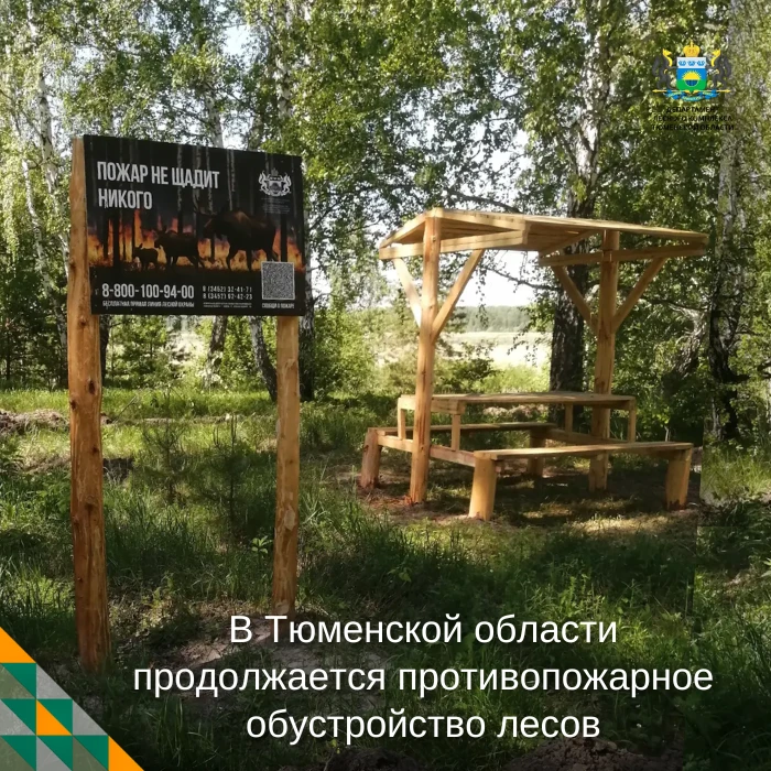 🌲 Лес должен быть безопасным

В Тюменской области продолжается работа по противопожарному обустройс