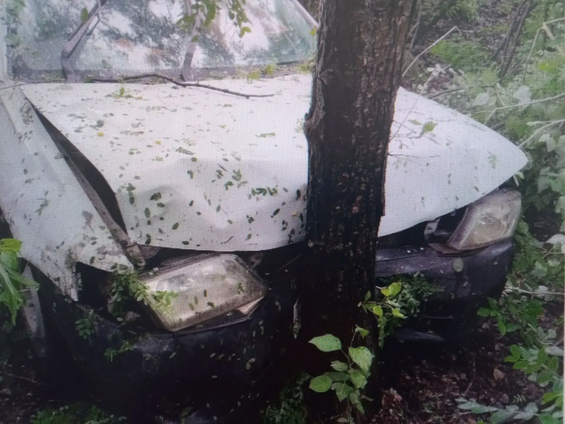 💥 69-летний пенсионер на Nissan насмерть разбился о дерево в Балейском районе.

Авария произошла на