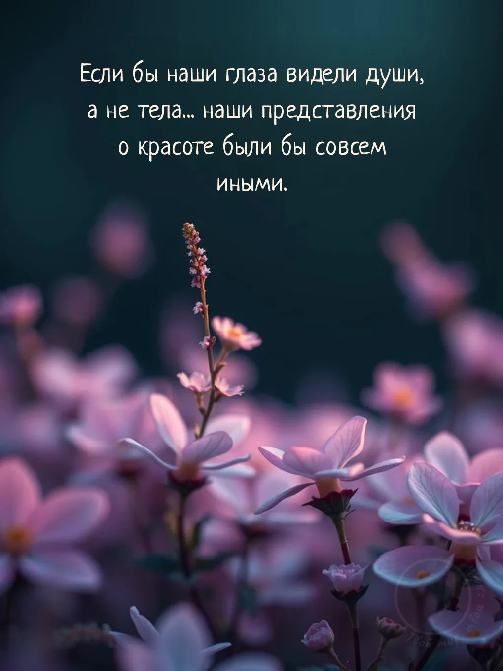 Твой мир, твои слова