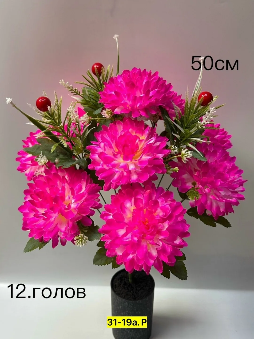 https://vk.com/photo-184814919_493410611