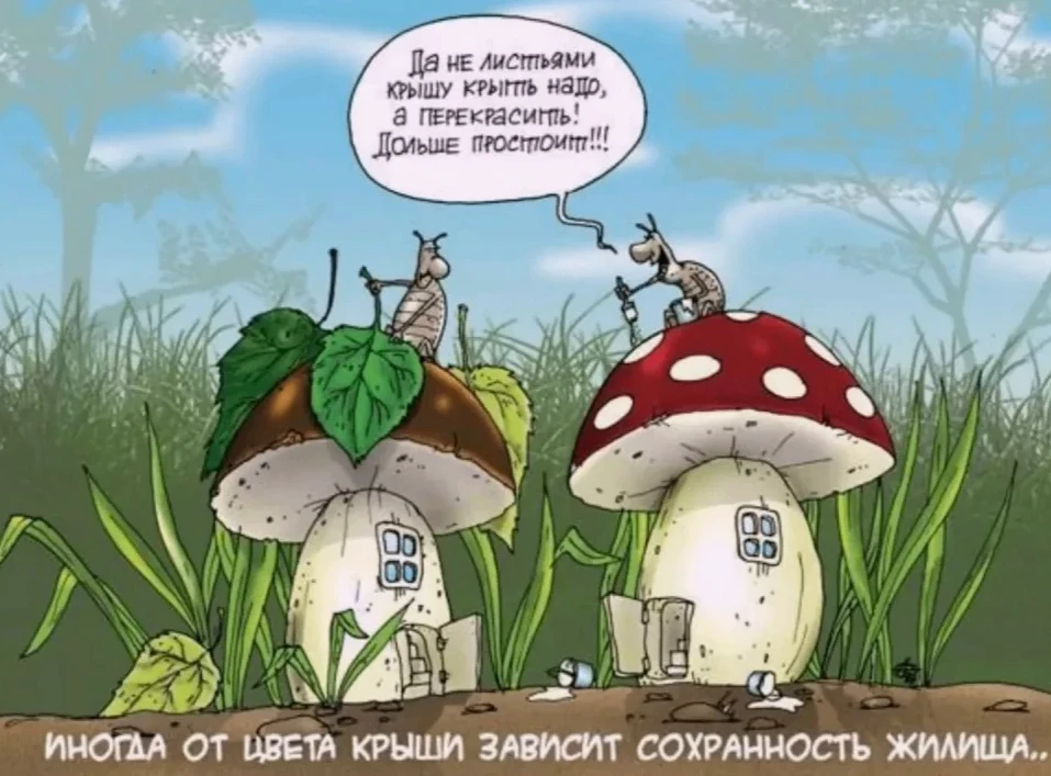 🍂Осень подкралась незаметно, а значит, грибники уже на низком старте!