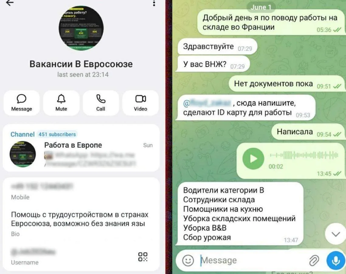 Россиян начали массово обманывать под предлогом трудоустройства за границей.

Мошенники обещают помо