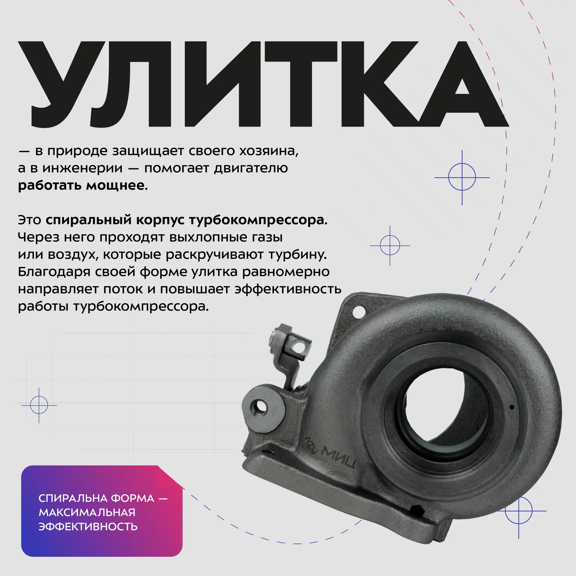 🌟 Когда мы слышим слово «улитка», то представляем моллюска с закрученной раковиной. Но...