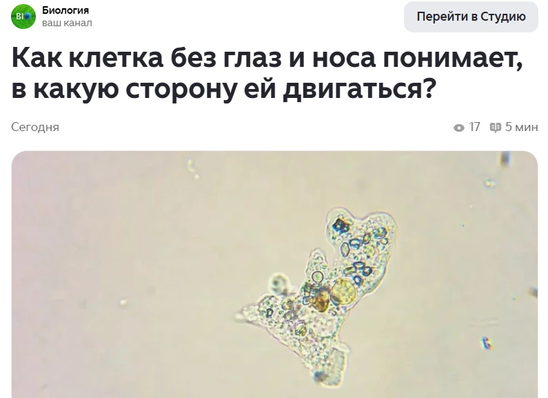 Продолжаем раскачивать наш Дзен. На этот раз абсолютно элементарным языком отвечаем на ...