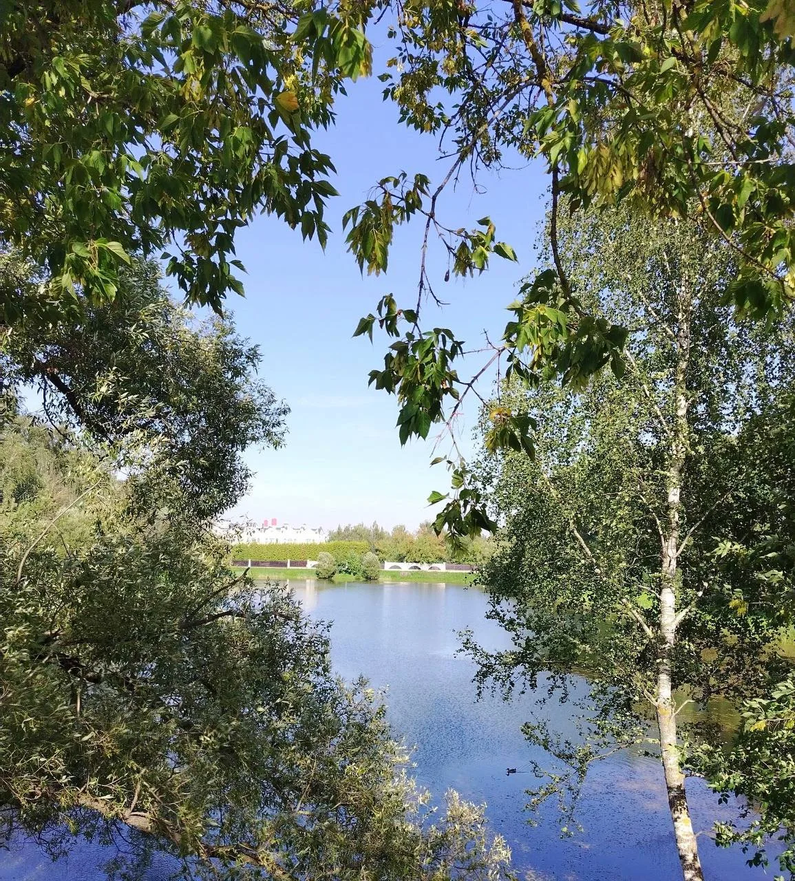 🏗 Мещерский пруд ждёт масштабная реконструкция — водоём временно закрывают

У Мещерского пруда на у