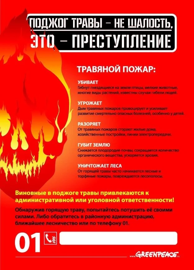 🚨 ПОДЖОГ ТРАВЫ — ЭТО НЕ ШАЛОСТЬ, А ПРЕСТУПЛЕНИЕ!